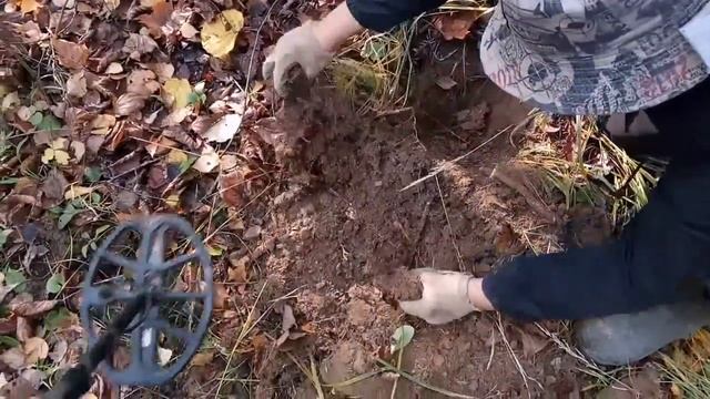 Монеты  и сопутка.Осенний коп.26 октября.