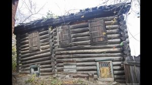 Жуки едят дом . Шашели, древоточцы и прочая нечисть .