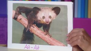 ✨Спокойной ночи, малыши✨ Самое удивительное животное