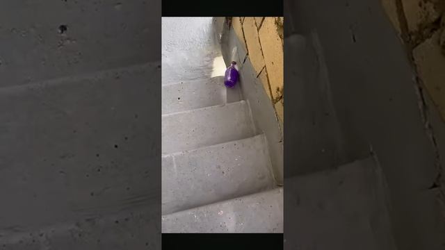 скатываю бутылки с лестници смотреть онлайн
