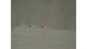 охота на ВОЛКА/ WOLF HUNTING.ваба.май 2021.вабим в стаде кабанов .видио с теплоприцела IRAY RICO42