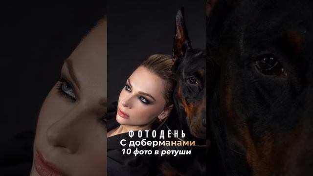 Фотосессия и фотодень с доберманами смотреть онлайн
