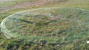 Кастинговая сеть (испанка)2