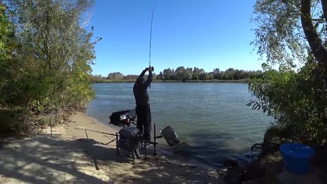 Отдых на Дону))