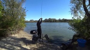 Отдых на Дону))