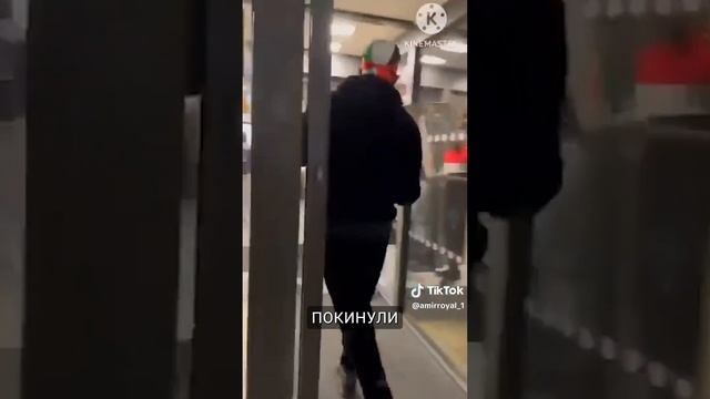 Мужчина выпустил в Макдоналдсе десятки мышей в цветах флага Палестины смотреть онлайн