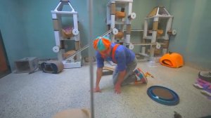 04.Блиппи идёт в зоопарк _ Блиппи на Русском _ Изучай этот Мир вместе с Блиппи _ Blippi.mp4