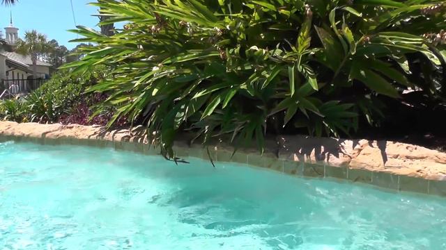 BEST POOL DAY EVER! | We Are The Davises смотреть онлайн