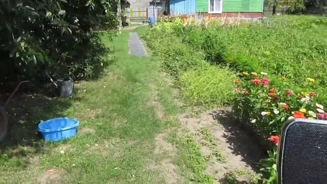 Миниатюрный УКВ передатчик для радиовещания смотреть онлайн