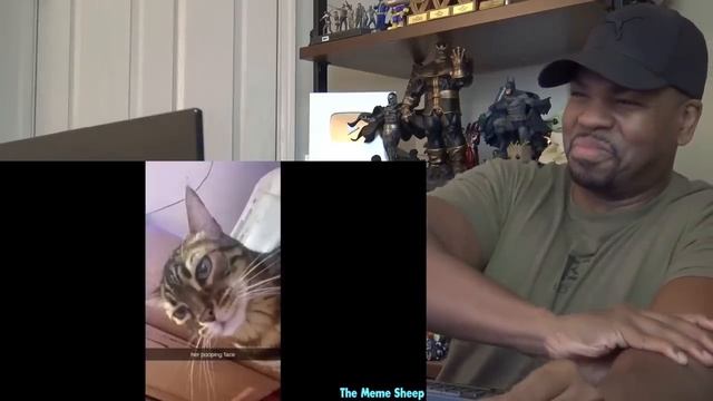 Try Not to Die Laughing ? 3 - Reaction! смотреть онлайн