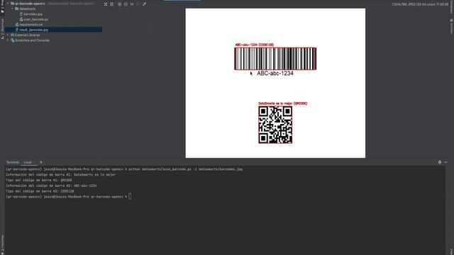 Cómo Leer Códigos de Barra y QR con OpenCV y ZBar смотреть онлайн