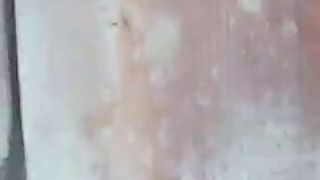 спасение потомства полевая мышь смотреть онлайн