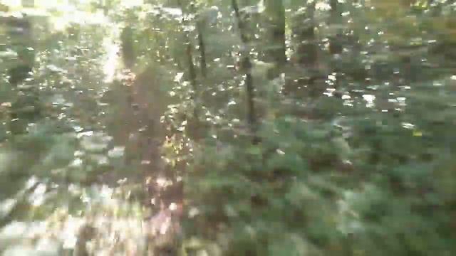 23 08 2019 настройка камеры смотреть онлайн