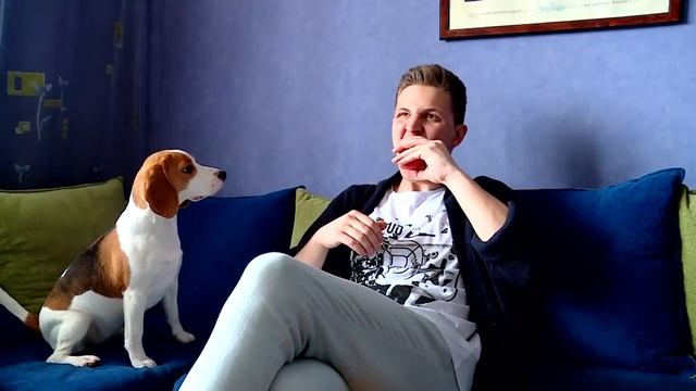 С кем лучше жить: c котом или собакой? Сложный выбор! [Кот vs Собака] №2 смотреть онлайн