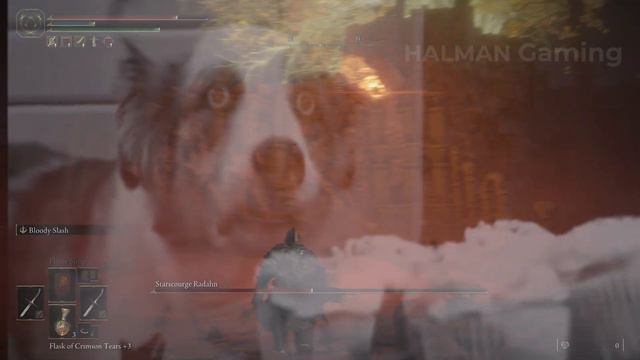 ELDEN RING - This Boss Fight Gave Me Monster Hunter Flashback смотреть онлайн