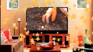 Морковь .Особая подготовка почвы под посев