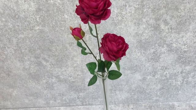 Роза 2 цветка и бутон малиновая смотреть онлайн