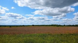 Козельск