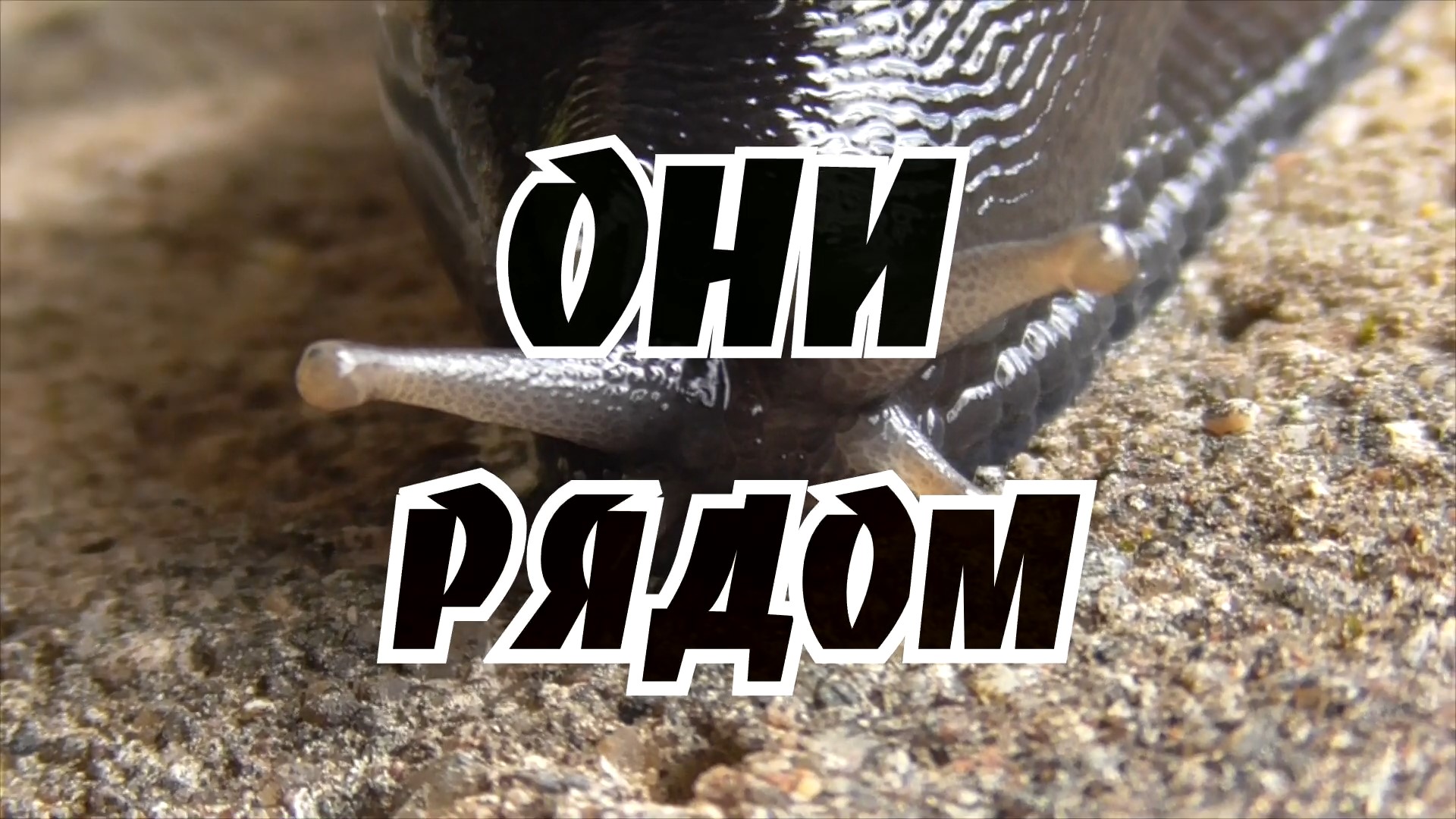 Они рядом | КиноСам-2023 смотреть онлайн