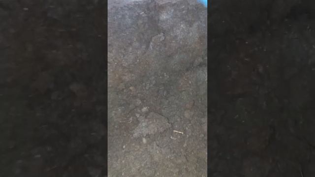 Какой грунт для цветов я использую.Обзор на грунты от фирмы Травень. смотреть онлайн