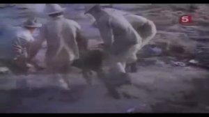 Афганистан. Вся правда