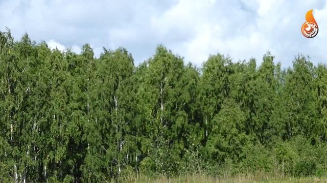 Золото и ни одной травмы. Мотокросс. Заречный. 2020 смотреть онлайн