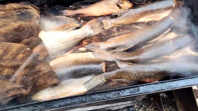 Копчение Рыбы щука/окунь. Готовим дома. Еда своими руками.