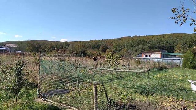 Десять соток с видом на горы и рекой смотреть онлайн