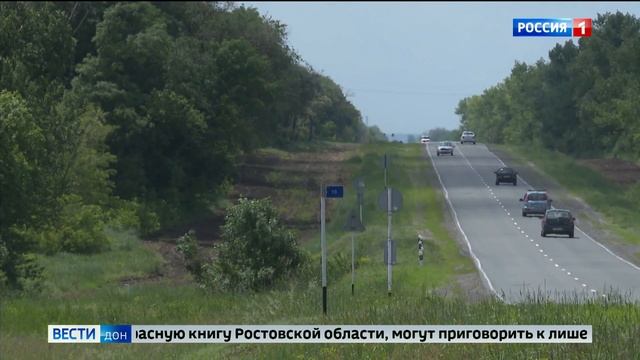 Донским грибникам может грозить тюремный срок за сбор шампиньонов и степного сморчка смотреть онлайн