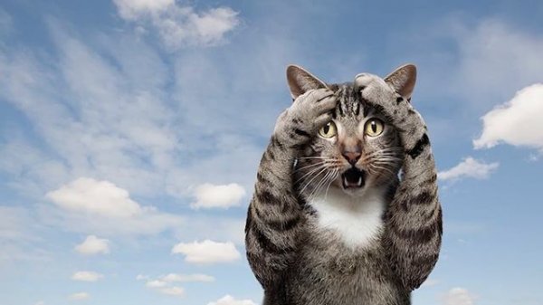 Online тимбилдинги, квизы и квесты от Orange Krug