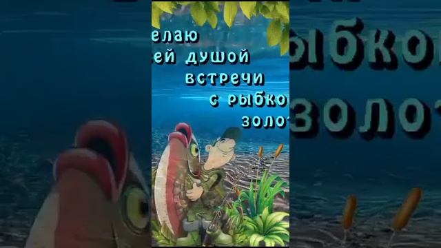 С ДНЕМ РЫБАКА/ВСЕМ ДОБРА смотреть онлайн