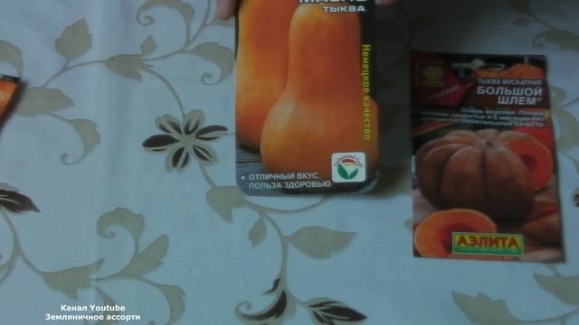 СОРТА  ТЫКВЫ 2019  г, ВЫБИРАЕМ ЛУЧШИЕ  - МОЙ ВЫБОР