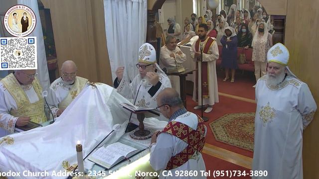 The Divine Liturgy on 06/03/2022 - Saint Abanoub and Saint Antony Coptic Orthodox Church смотреть онлайн