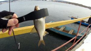 Мормышинг. Ribbed WORM SportFishing + MATAGI TWA-662XUL Водоемы оживают