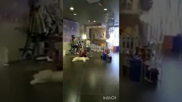 Виртуальный флешмоб "Эстафета добрых дел", с. Федораевка смотреть онлайн