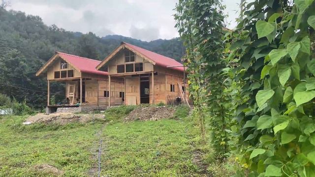 Apple Bari Beraidwng Arw Jadwng Shergaon Arunachalao смотреть онлайн