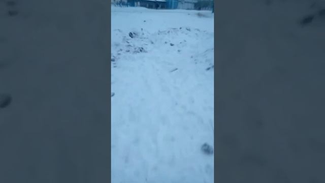 Незнаю куда и пойти!😱 смотреть онлайн