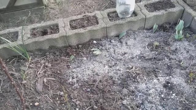 Посадки и луна. Когда что сажать. смотреть онлайн