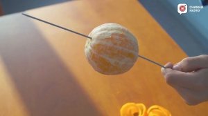 Что такое меридианы и параллели