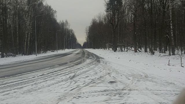 Что строят в заповеднике Лосиный остров... смотреть онлайн