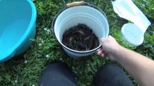 Как сохранить раков живыми, самый простой способ!!!