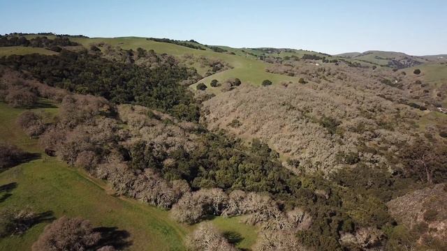 Almond Ranch смотреть онлайн