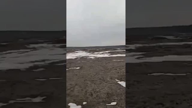 #выживание#тактика#стрельбы