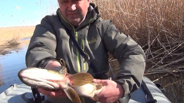 Не пролететь с рыбалкой весной в дельте Волги Астраханкой области смотреть онлайн