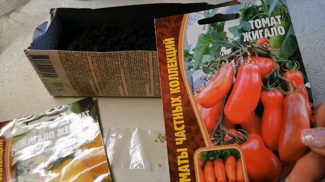 Садим томаты. ЖИГАЛО ? и Оранжевая КНОПКА ?? смотреть онлайн