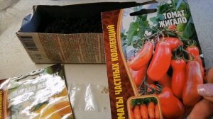 Садим томаты. ЖИГАЛО ?  и Оранжевая КНОПКА ??