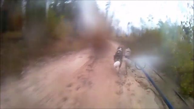 Звезда черноземья день 2 смотреть онлайн