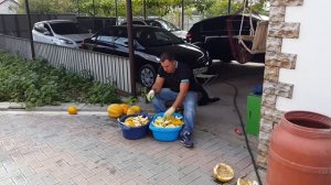 САМОГОН из ДЫНИ. _БРАГА_ Часть 1.mp4