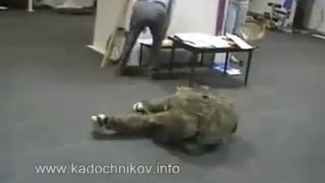 задний кувырок Mpeg4