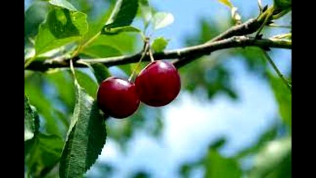 Строительный Детектив